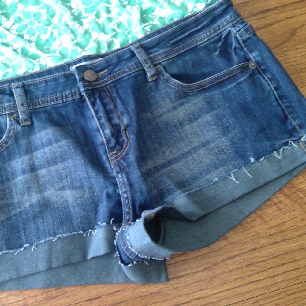 NWOT 2.1 Denim Distressed Shorts